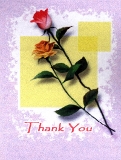 Testimonial - Thank you 11